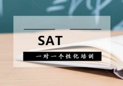 SATһ(du)һ(g)ԻӖ(xn)
