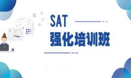 ؑcSAT(qing)Ӗ(xn)
