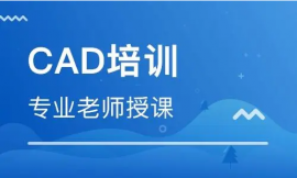 ɽCADO(sh)ӋӖ(xn)
