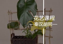 ϺˇӖn