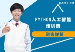 ʯfPython˹Ӗ(xn)